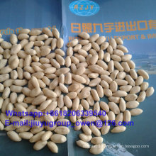 Blanched Groundnut Kernel 25/29